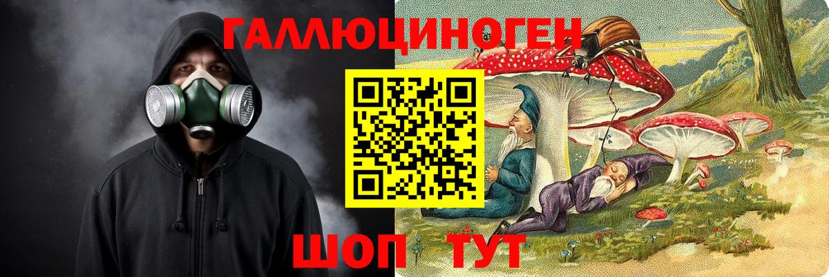 Псилоцибиновые грибы Psilocybe  дарнет шоп  Галлюциногенные грибы Magic Shrooms  Россия  Вход с VPN 